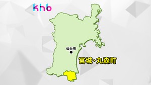 宮城・丸森町の国道113号で乗用車がトラクターに追突　トラクターの男性を搬送