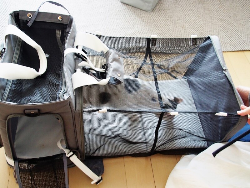 いざという時、2匹入る防災用折り畳みリュック