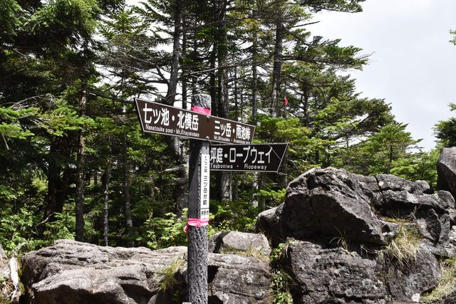 3年ぶり「山歩き会」 標高2480メートルの北横岳を満喫│朝日新聞Re