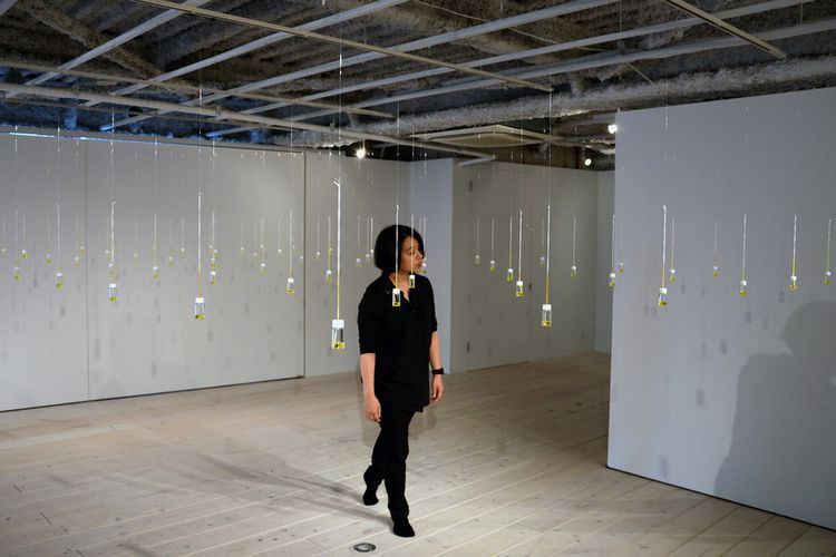 上田さんの作品「嗅覚のための迷路」