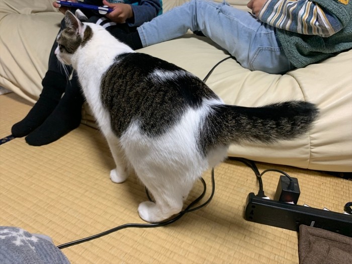 ゲームをする子どもに近づく