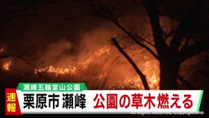 公園で草木が燃える　消火活動中　宮城・栗原市