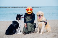 「多頭飼いの理想」しかし現実は……（画像提供：たびぼんボダ＆ゴルさん）