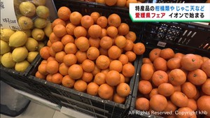 柑橘系やじゃこ天など　愛媛県の特産品フェア　東北６県のスーパー