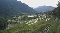 小豆島町の「中山千枚田」（香川県提供）