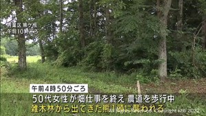 ５０代女性が熊に襲われけが　仙台・青葉区熊ケ根の農道