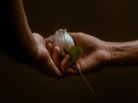 プロフィールに「中退」を追加。この人生がわたしの音楽を作っている