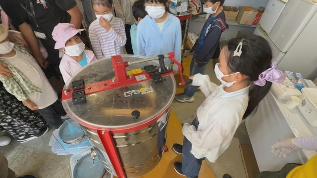 ミツバチの生態を学ぶ子どもたち