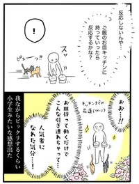 【漫画】『ネコと暮らした9日間』16（イゴカオリさん提供）
