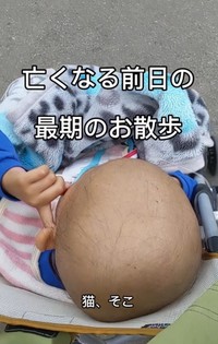 青木一馬くんが亡くなる前日の最期のお散歩の動画が話題に（青木さん提供、Instagramよりキャプチャ撮影）