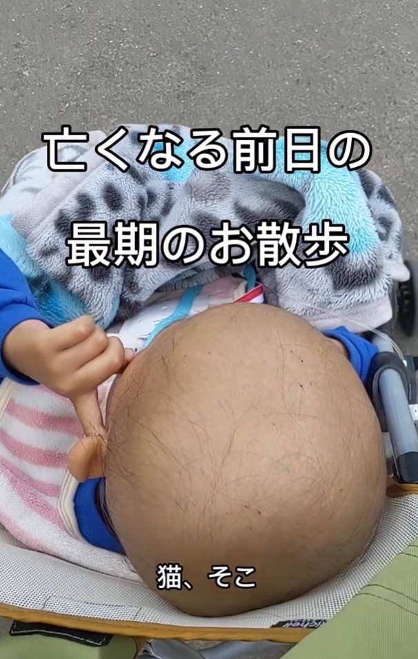 青木一馬くんが亡くなる前日の最期のお散歩の動画が話題に（青木さん提供、Instagramよりキャプチャ撮影）