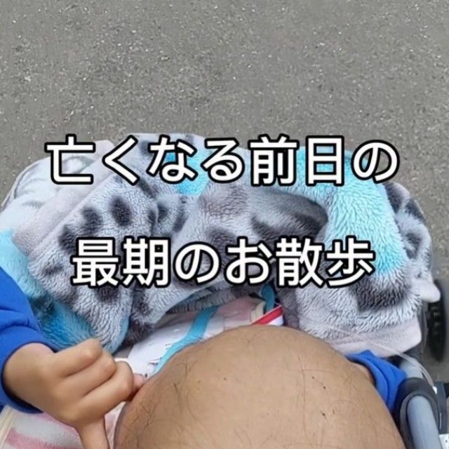 青木一馬くんが亡くなる前日の最期のお散歩の動画が話題に（青木さん提供、Instagramよりキャプチャ撮影）