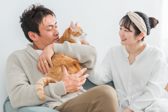 97.3％もの飼い主が、犬・猫が人間の言葉や想いを「理解している」と回答　※画像はイメージです（buritora/stock.adobe.com）