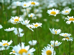 そんなあなたが大好きだよって気持ちを込めて「かわいい」と伝えたい