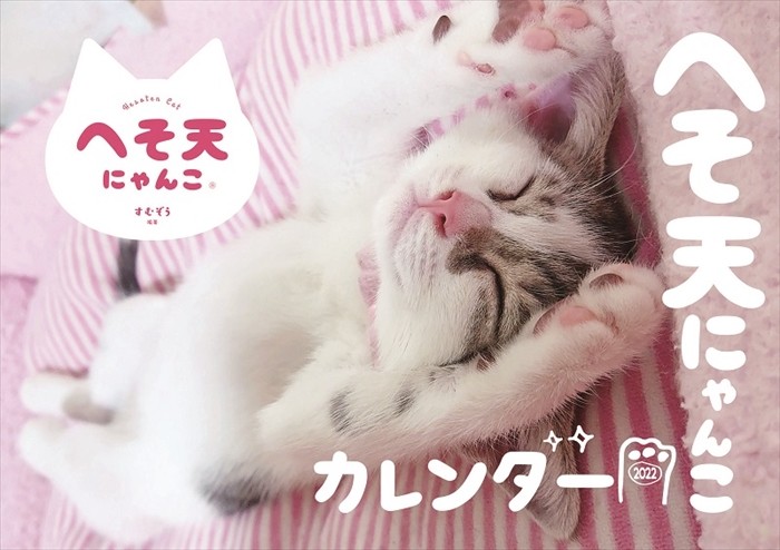 来年のへそ天にゃんこカレンダーの表紙（へそ天プロジェクト提供）