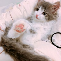 ベビーのころの直哉くん。凛々しい表情が素敵です（画像提供：直哉さん）