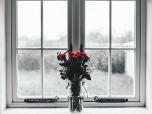 不満も愚痴もないけれど。彼氏は私にたくさんの愛情しかくれない