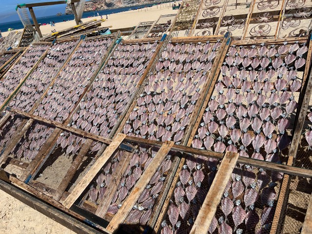 ポルトガル・ナザレの浜辺にずらりと並べられた干物台（ポルトピ提供）