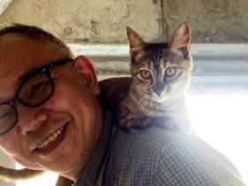 猫たちの未来を作る保護猫カフェ　可愛く、静かな時間