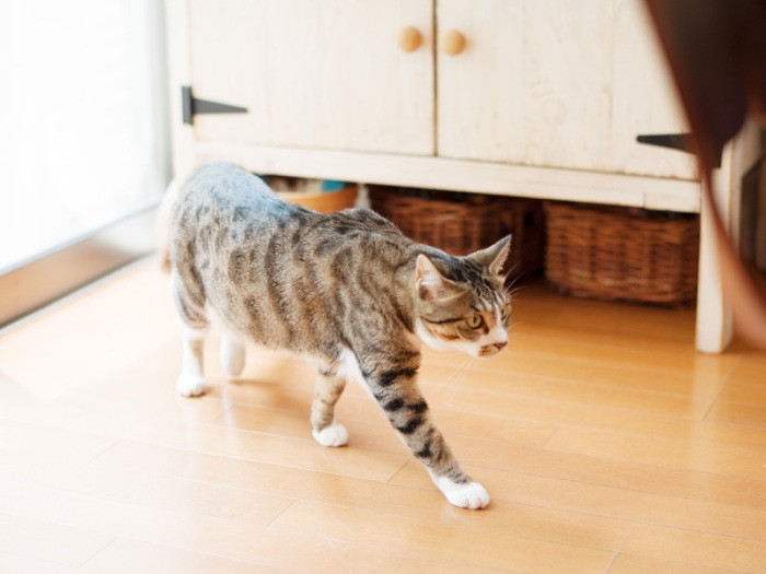 「日に当たっていたら昼寝がしたくなっちゃった」（小林写函撮影）