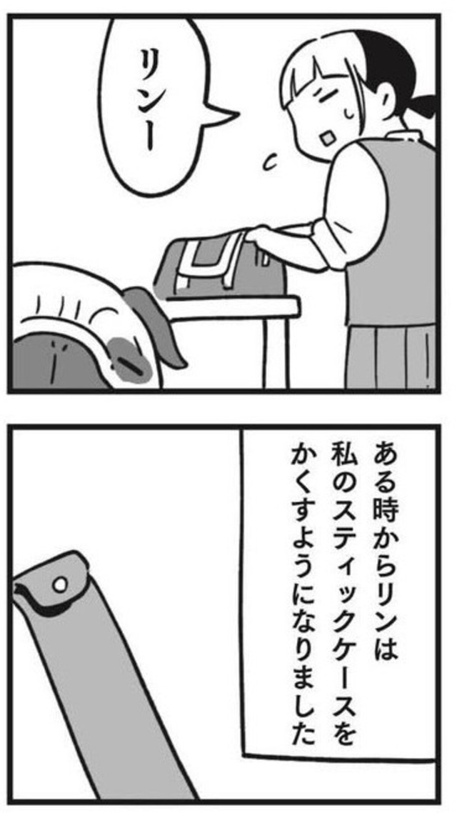ある時からリンはスティックケースを隠すようになった（しろやぎ秋吾さん提供）