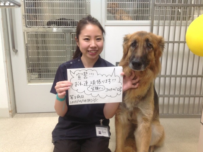 骨肉腫が判明して3日目の番長と三橋さん。この日から一日も欠かさず写真を撮り続けた（三橋さん提供）