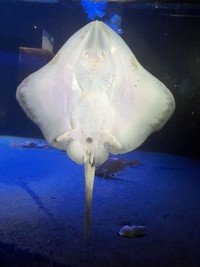 顔に見えてしまう裏側