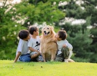 きなこちゃんとともに育つ3兄弟（提供：@kinako_3brosさん）