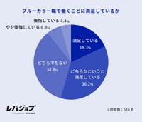 ブルーカラー職種で働くことに満足しているか（提供画像）