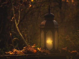 エッセイを初めて書いて気づいた。言葉は魔法みたいに力をくれること