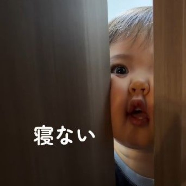 ギューっとつぶれたほっぺたが可愛すぎる！（提供：@hyu.mogmogさん）　
