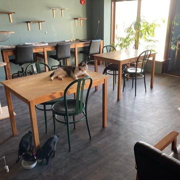 10月11日に鹿児島県指宿市にオープンした、coworking space necohara（提供：農業姉妹@tfy0411さん）