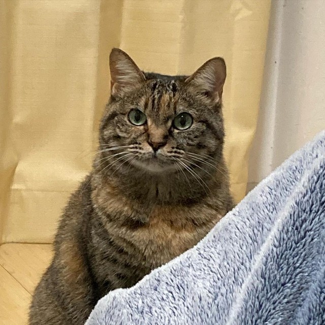 整った顔立ちのうたちゃん