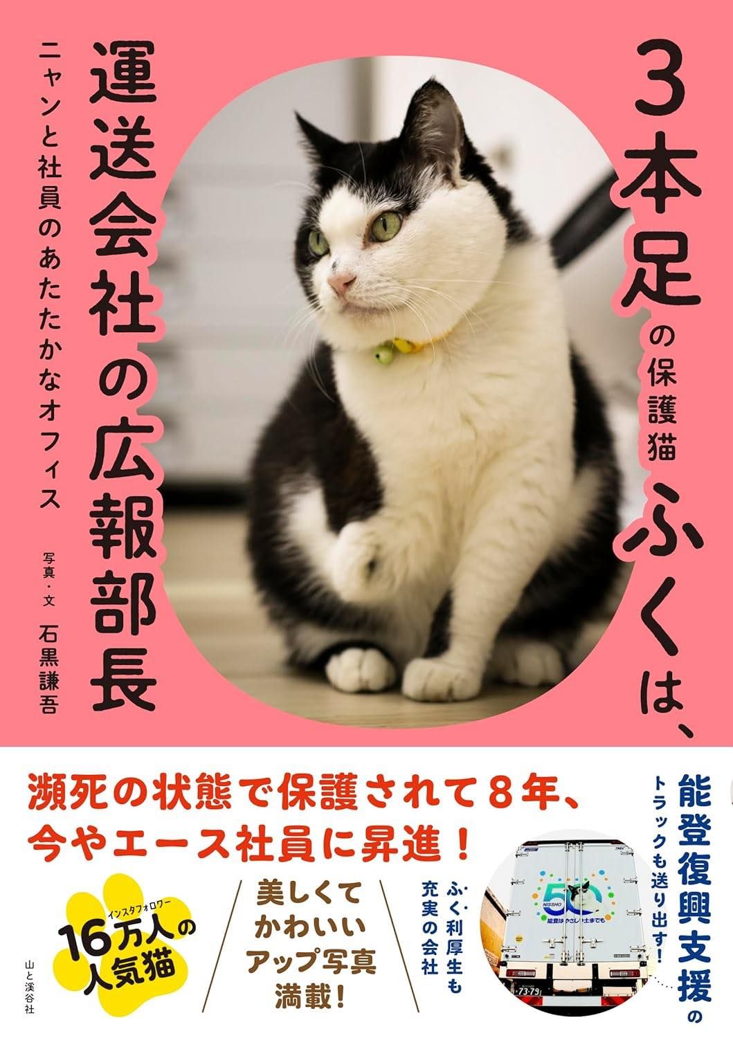 運送会社の広報部長は“にゃんフルエンサー” 保護猫「ふく」 右前足を