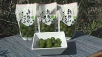 10日から販売される新漬けオリーブ