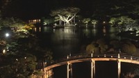 栗林公園秋のライトアップ（2024年11月22日撮影）