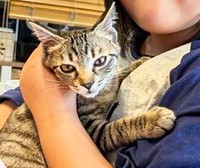 里親さんのお家のお姉ちゃんに抱っこされてご満悦のウォール改めて「天くん」