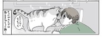 そんな近くでは数えられない…（提供：キュルZさん）