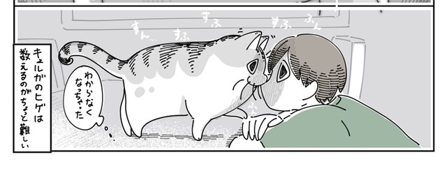 そんな近くでは数えられない…（提供：キュルZさん）