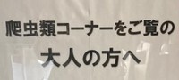 「大人の方へ」という呼びかけが目を引くが…？