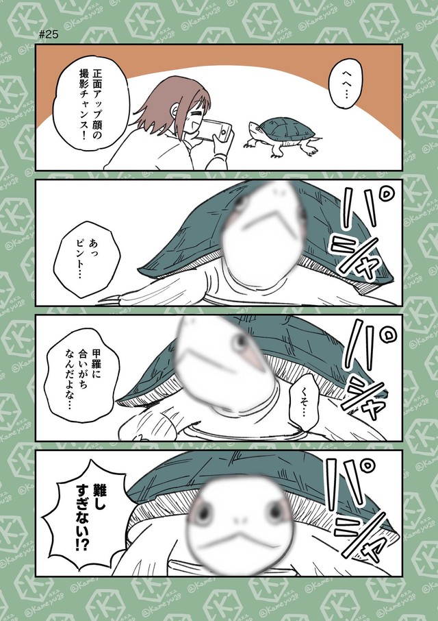 【漫画】『「亀飼いしか知らない世界」な4コマまとめ。』5（カメユさん提供）