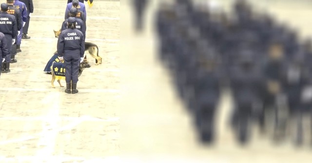 犬たちが見ている方向を確認すると、隣の隊列の中に倒れた人が（動画からキャプチャー／提供：ゆるふわ怪電波☆埼玉さん　※プライバシー保護のため元の動画にモザイクがかかっています）