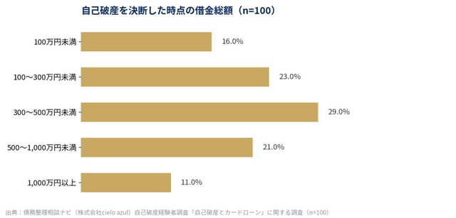 自己破産を決断した時点での借金総額（提供画像）