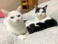 2匹とも立派に成長した