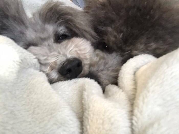 仲良し（ＣＡＰＰチーム提供）