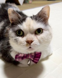 7回目の家族記念日。柔和な顔立ちになってきた。