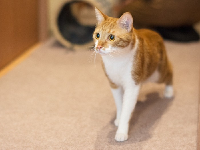 「そろそろおやつの時間なんだけど、まだかな？」（小林写函撮影）