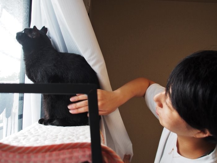 海風くんは、外が見える窓辺が好き