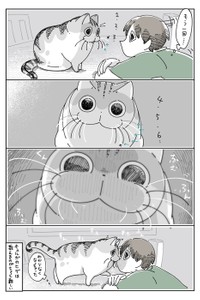 漫画「猫のヒゲを数えたい」（提供：キュルZさん）
