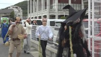 小豆島の町並みを歩く仮装した参加者たち